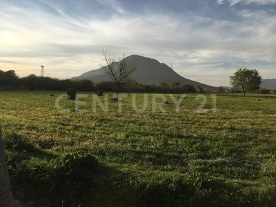 Ramos Arizpe, Coahuila 25903, Messico