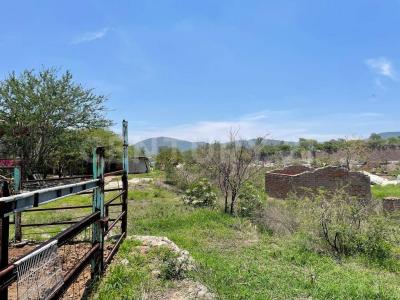 Parcela 63 P3 / 4,, Tlajomulco De Zúñiga, ハリスコ 45640, メキシコ
