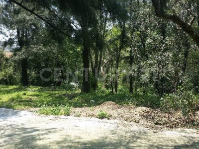 Camino Antiguo a San Lucas 538 Vía Ahuejote 7,, Xochimilco, Ciudad De México 16300, 墨西哥