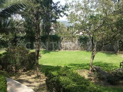 Camino Antiguo a San Lucas 538 Vía Ahuejote 7,, Xochimilco, Ciudad De México 16300, México
