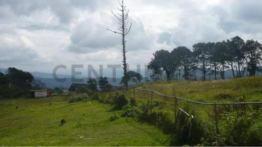 El Paramo S/N, La Colonia Tovar, Aragua 00001, ונצואלה