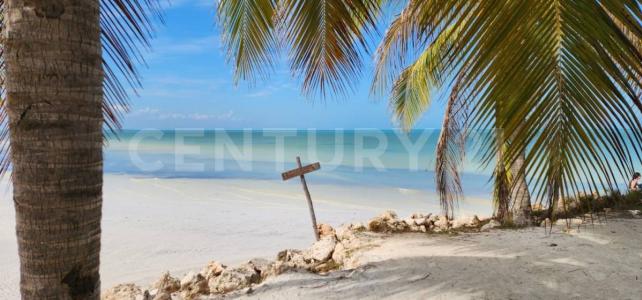 Av. Pedro Joaquin Coldwell,, Lázaro Cárdenas, Quintana Roo 77310, Mexico