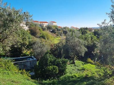 Covilhã, Castelo Branco 6200-553, Portugalia