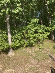 127 Brokenwood Lane, Fairfield Glade, 田納西州 38558, 美國