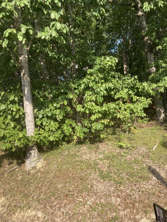 127 Brokenwood Lane, Fairfield Glade, Tennessee 38558, Estados Unidos