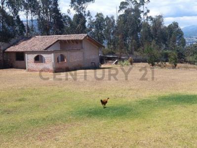 Tumbaco 1, Quito, Pichincha 00001, Ecuador