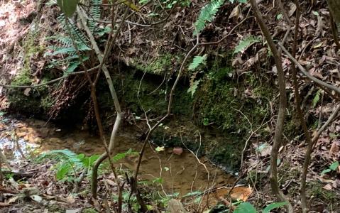 Shady Grove Road, Murphy, Carolina Del Norte 28906, Estados Unidos