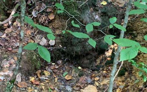 Shady Grove Road, Murphy, Carolina Del Norte 28906, Estados Unidos