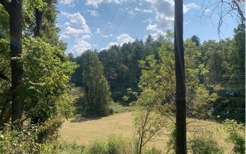 Shady Grove Road, Murphy, Carolina Del Norte 28906, Estados Unidos