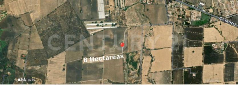 Parcela (Ejido La Teja) 49 P3/4,, Tlajomulco De Zúñiga, ハリスコ 45640, メキシコ