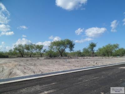 Circulo Paradise, Lot 75, San Benito, تكساس 78586, الولايات المتحدة
