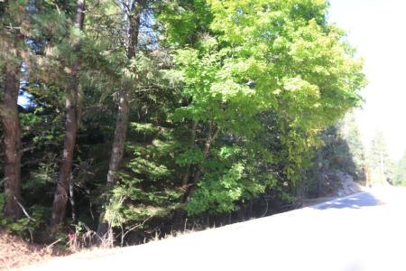 7289 Fertile Valley Rd, Newport, 워싱턴 99156, 미국