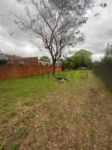 calle cerro leon sin numero, Luque, Central 00001, Paraguai