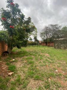 calle cerro leon sin numero, Luque, Central 00001, Paraguai