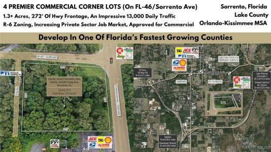 24439 Sorrento Avenue, Mount Dora, 佛罗里达州 32776, 美国