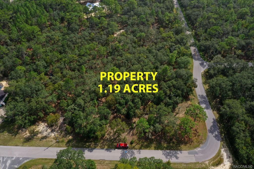 476 W Quince Street, Hernando, Флорида 34442, Соединенные Штаты