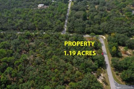 476 W Quince Street, Hernando, Флорида 34442, Соединенные Штаты