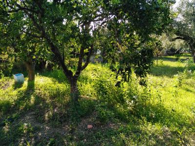 Vila Velha De Ródão, 布朗庫堡區 6030-111, 葡萄牙
