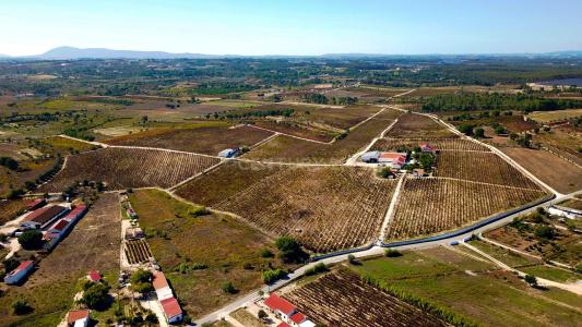 Cartaxo, Santarém 2070-648, Portugal
