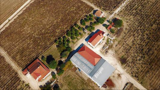 Cartaxo, Santarem 2070-648, Portugalia