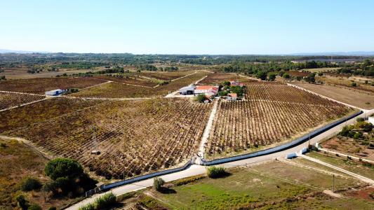 Cartaxo, Santarem 2070-648, Portugalia