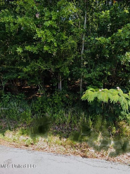 St Ann Street, Gautier, Mississippi 39553, Estados Unidos