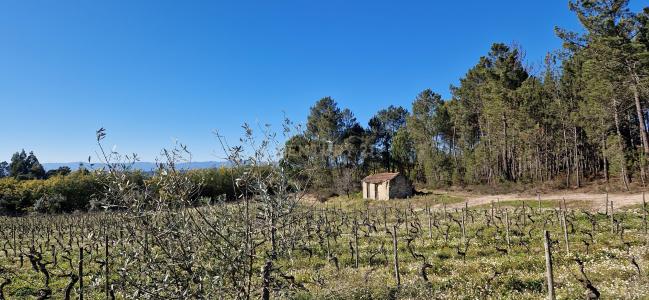 Nelas, Viseu 3520-111, Portogallo