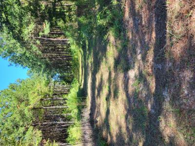 5685 Peavy Switch Road, Lufkin, テキサス 75904, アメリカ合衆国