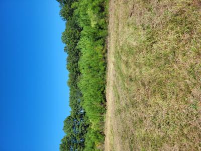 5685 Peavy Switch Road, Lufkin, テキサス 75904, アメリカ合衆国