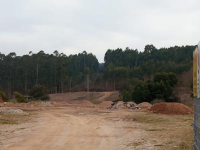 Oliveira De Azeméis, Авейру 3700-794, Португалия