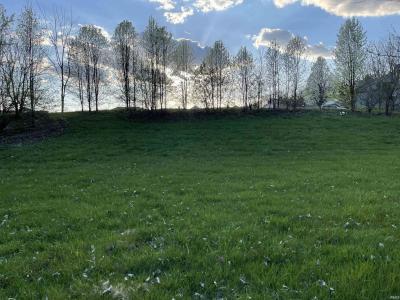 504 Ridgeview Trail, Avilla, Indiana 46710