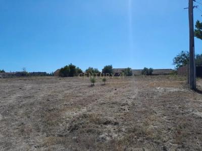 Porto De Mós, Leiria 2480-077, Portugal