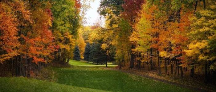 9482 Fawn Lake Dr, Canadian Lakes, Michigan 49346, USA