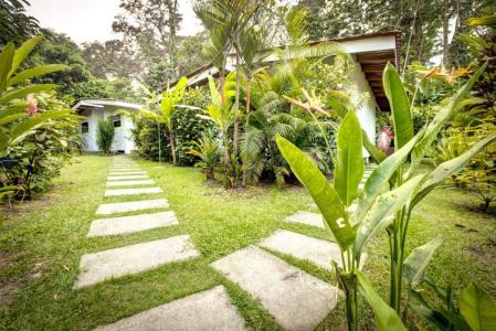 Calle Margarita , Cocles Cahuita Talamanca, Limón 70402, Kostaryka