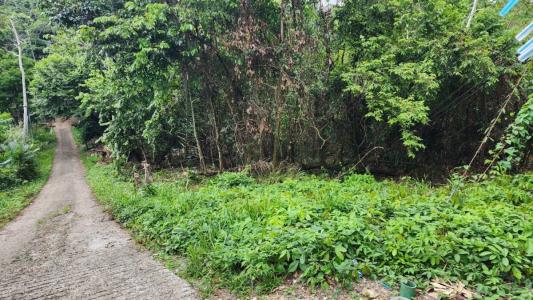 Manuel Antonio Quepos Aguirre, Puntarenas 00001, Costa Rica