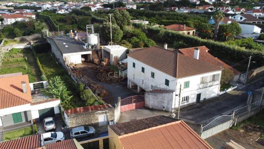 Ribeira Grande, São Miguel 9600-129, Bồ Đào Nha