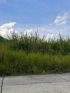 1 Terrazas de Manantial, Naguanagua, Carabobo 2001, Venezuela