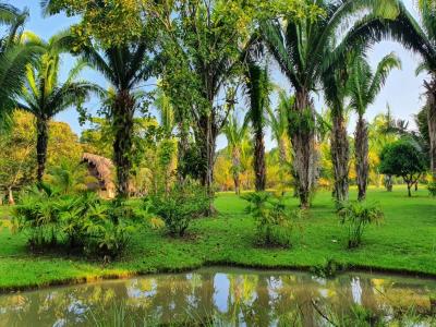 Emeri Grove, Toledo 00001, 伯利兹