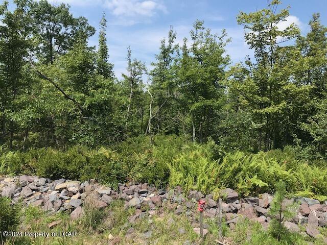 555 MOUNTAIN View Drive, Hazle Twp, Pennsylvania 18202, Stati Uniti