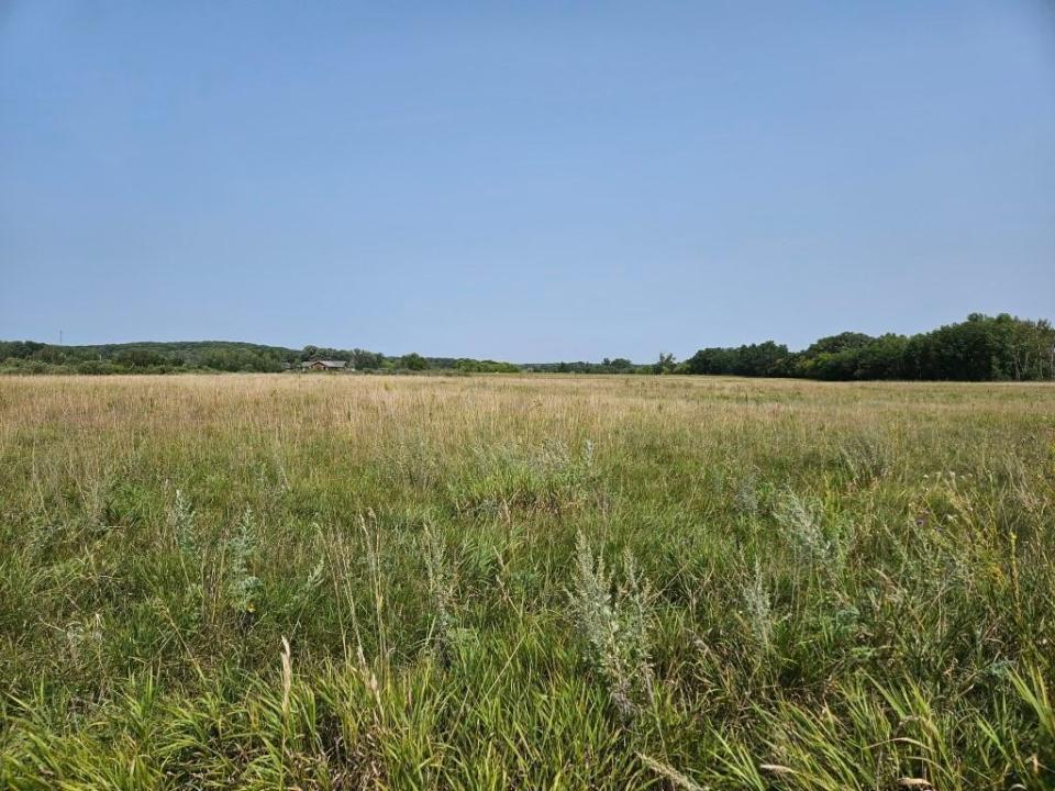 Co Rd 38 NE, Carlos, Minnesota 56319, États-Unis