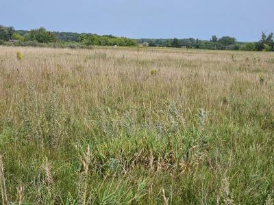 Co Rd 38 NE, Carlos, Minnesota 56319, États-Unis