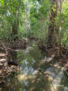 Blue Creek, Toledo 00001, Belize