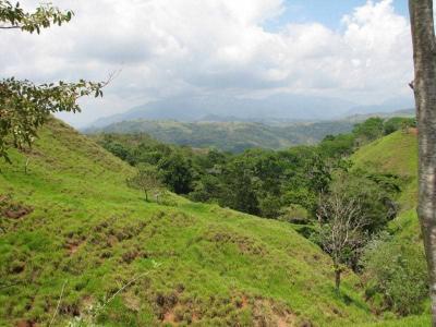 San Luis Turrubáres, San José 00001, Costa Rica