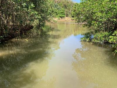 Jaco, Puntarenas 00001, Costa Rica