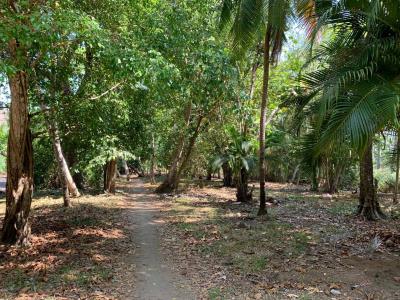 Jaco, Puntarenas 00001, Costa Rica