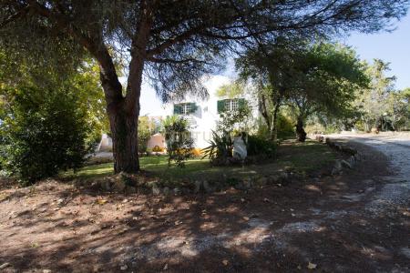 Mafra, Lisbon 2640-431, Portugal