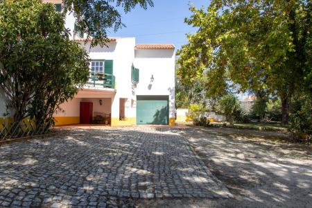 Mafra, Lisbon 2640-431, Portugal