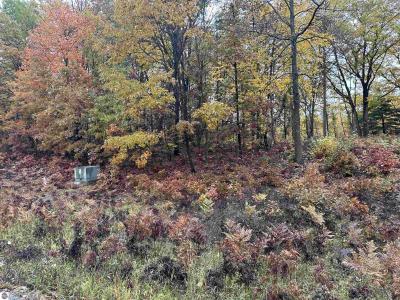 Lot #5 N Circle E, Farwell, Michigan 48622, Estados Unidos