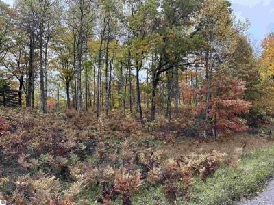 Lot #5 N Circle E, Farwell, Michigan 48622, Estados Unidos