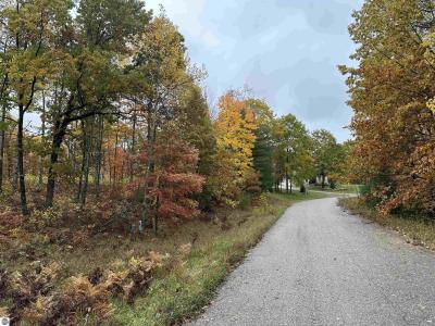 Lot #5 N Circle E, Farwell, Michigan 48622, Estados Unidos
